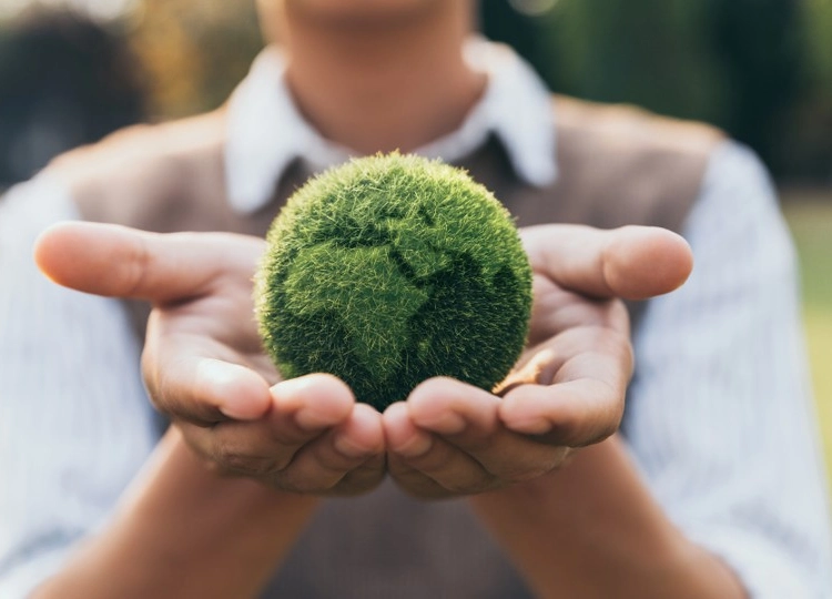 The European Green Deal: A Game-Changer for the Automotive Industry